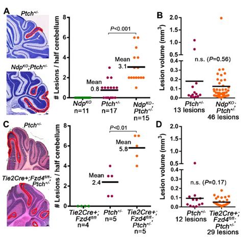 Ptch À and Ndp KO Ptch À MBs have separable gene expression