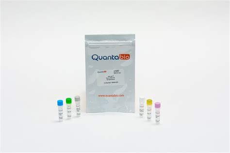 Quantabio Qscript Flex Cdna Synthesis Kit X L Reactions Dnature