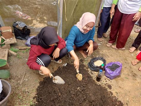 Sukses Mahasiswa Kkn Undip Berhasil Membuat Pupuk Kompos Dari