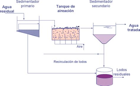 Tratamiento De Lodos Mind Map