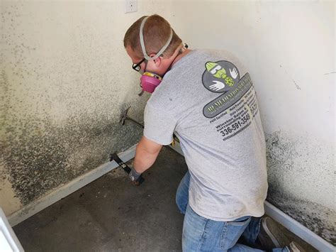 Black Mold Removal Services Mold Removal Company