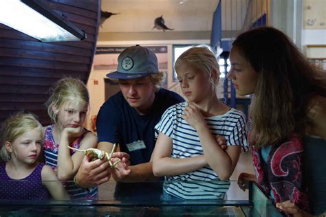 F Hrung F Tterung Der Tiere Unserer Aquarien Schutzstation Wattenmeer