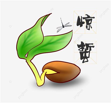 Bean Sprouts White Transparent Cartoon Bean Sprout Plant Illustration