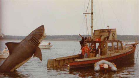 The Bizarre Tale of the Orca II, the Stunt Boat from Jaws | Mental Floss