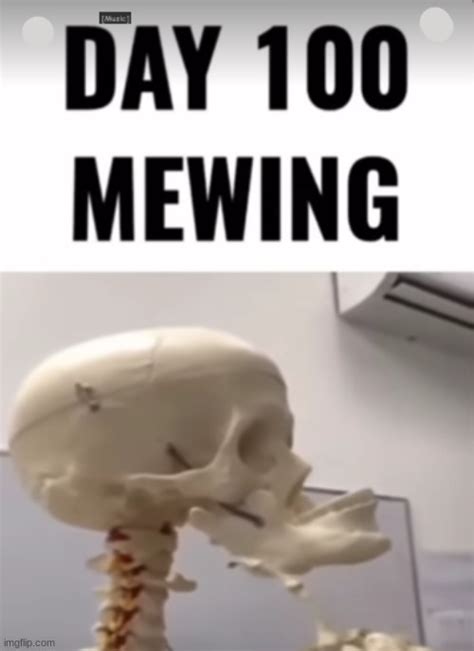 Mewing Memes And S Imgflip