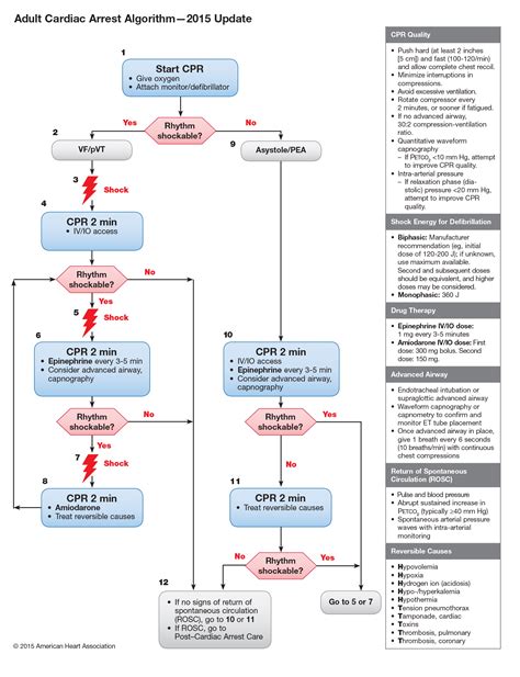 Acls Cardiac Arrest Algorithm Eccpodcast