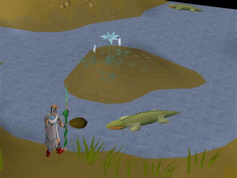 Filebeneath Cursed Sands Lily Of The Elid Locationpng Osrs Wiki