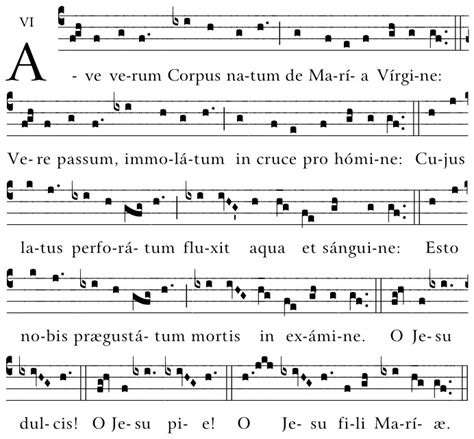 Ave verum Corpus | Gregorian Chant Hymns