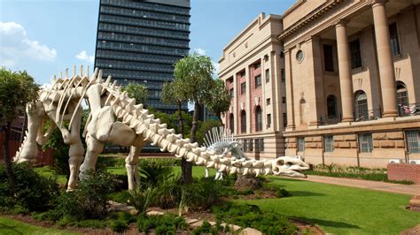 Top Family-Friendly Things To Do in Pretoria, South Africa