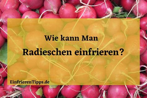 Tomaten Einfrieren Wie Macht Man Es Richtig Einfrieren Tipps