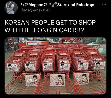 Stray Kids Seungmin Stray Cat Bird App Korean People Fandoms Kid