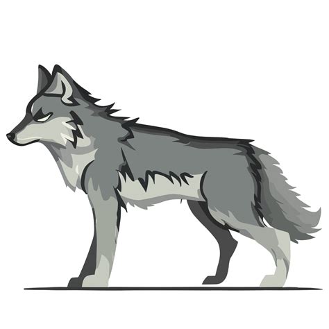 Weiß Wolf Clip Art Transparent Hintergrund 24029753 Png