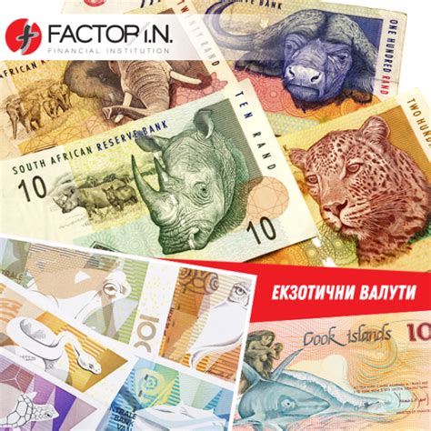 Обмяна на Валута - Factor I.N.