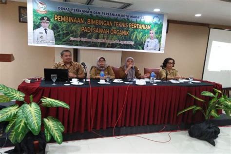 Permintaan Meningkat DP2 Makassar Dorong Pertanian Organik Makassar