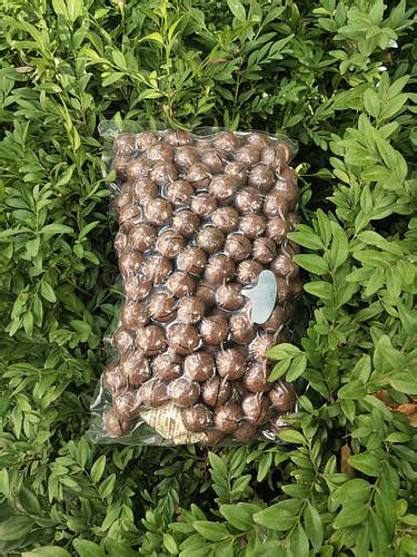 Макадамия орех экзотический 1 кг вакуум опт від 2 кг, цена 495.99 грн ...