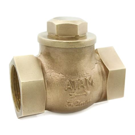 Bronze Horizontal Lift Check Valve At Best Price In Delhi S S Equipment