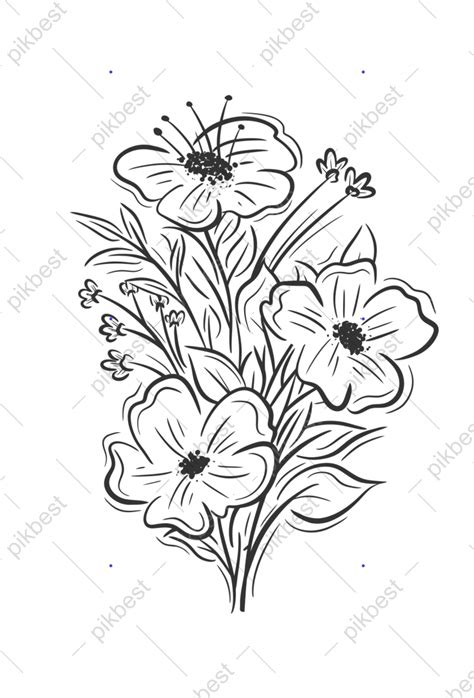 Drawing Floral Bouquets Collection Png Images Ai Free Download Pikbest