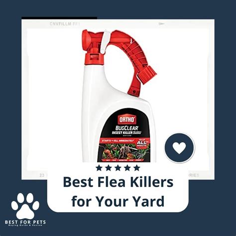 14 Best Flea Killers For Your Yard - BestForPets.org