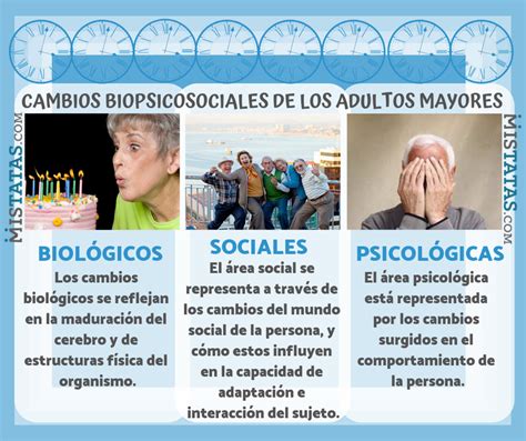 Cambios Biologicos En El Adulto Mayor Image To U