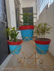 gamla stand gamla stand wholesaler  agra