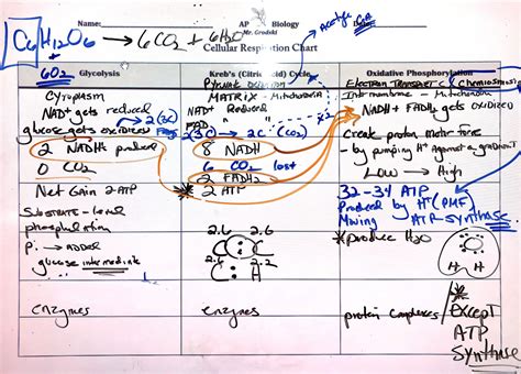 Archive Ap Bio Q3 Week 2 19 20 Mr Grodski Chemistry