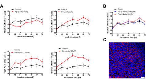 Figure 1 From Effect Of A Flavonoid Combination Of Apigenin And