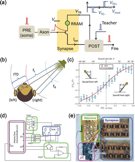 Learning Of Spatiotemporal Patterns In A Snn A Schematic Illustration