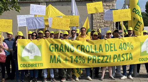 Coldiretti Allarme Grano Italiano Prezzi A Centesimi Al