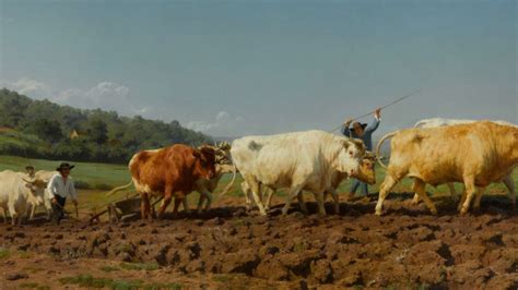 Rosa Bonheur 1822 1899 Musée d Orsay