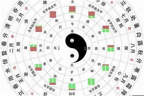 怎么查自己是金木水火土？八字天干地支五行对照表八字若朴堂文化