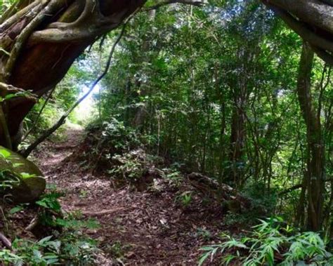 Parque Nacional El Imposible Siempretur Disfruta De La Vida