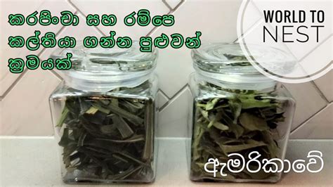 කරපච සහ රමප කල තයගනන ආකරය How to store curry and pandan