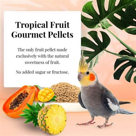 Cockatiel Tropical Fruit Gourmet Pellets Lafeber Company