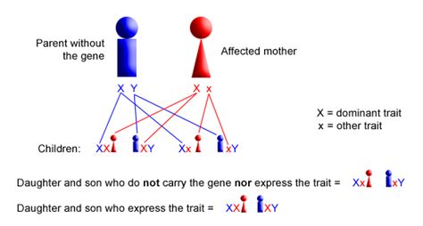 Rare dominant traits - senturinorg