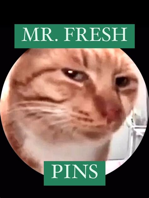 Side Eye Orange Cat Mr. Fresh Meme Pin - Etsy