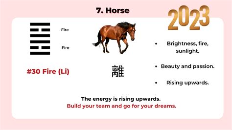 Part 2 of 2023 Chinese zodiac forecast - Horse, Goat, Monkey, Rooster ...