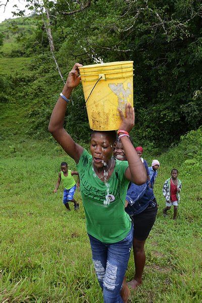 Jamaica Gleanergallery Bamboo Ian Allen Photographer Residents Of Free