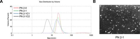 Size Of Nanoparticles A Size Distribution Of Nanoparticles Measured