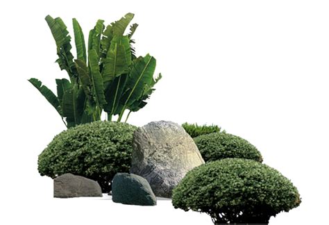 Garden Plants Png