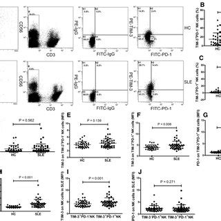 Increased Levels Of Tim Pd Nk Cells Are Correlated With Esr And