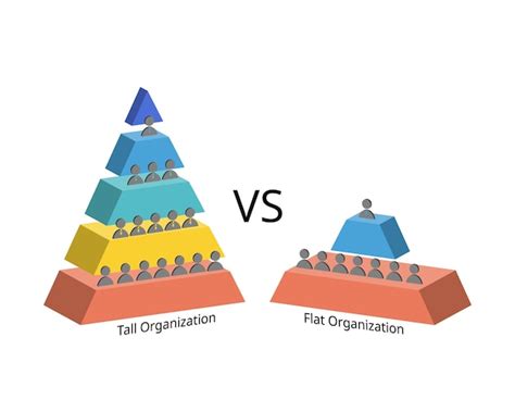 Premium Vector | Tall and flat organizational structure with wide and ...