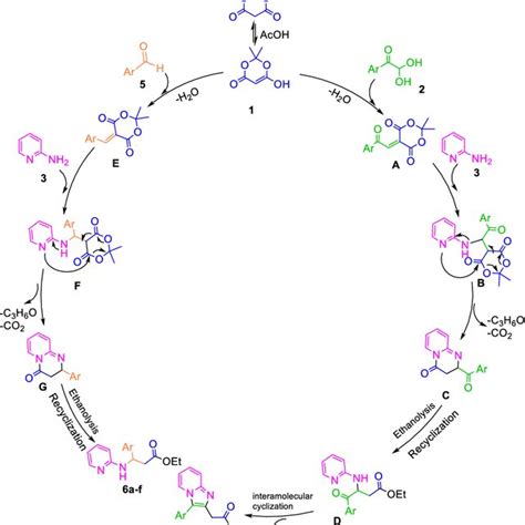 Examples Of Biologically Active Compounds Containing An Download