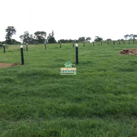 Mato Grosso Fazendas Hectares Venda No Vale Do Araguaia Mt