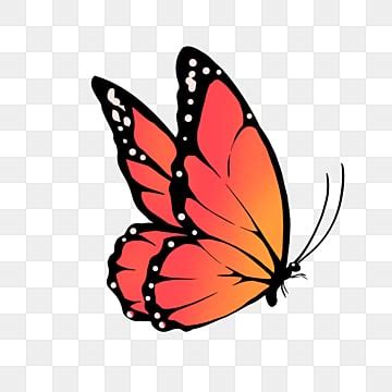 Cartoon Butterfly PNG Transparent Images Free Download | Vector Files ...