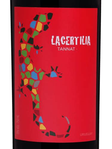 Braccobosca Lacertilia Tannat Vivino