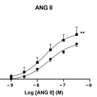 Vasoconstrictor Response Of Aortic Rings To ANG II In Presence Of