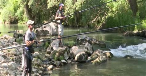 Sulle Sponde Del Biferno Il Campionato Italiano Di Pesca Alla Trota