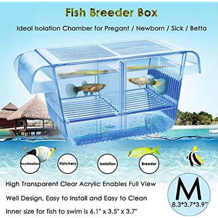 Amazon Senzeal Aquarium Fish Breeder Box Plastic Fish Isolation