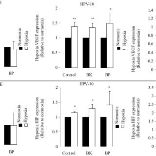 VEGF And HIF Expression A Basal Levels Of VEGF And HIF On HPV10 And