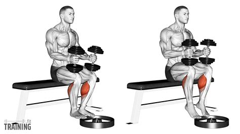 Seated Dumbbell Calf Raise - Instructions, Information & Alternatives ...